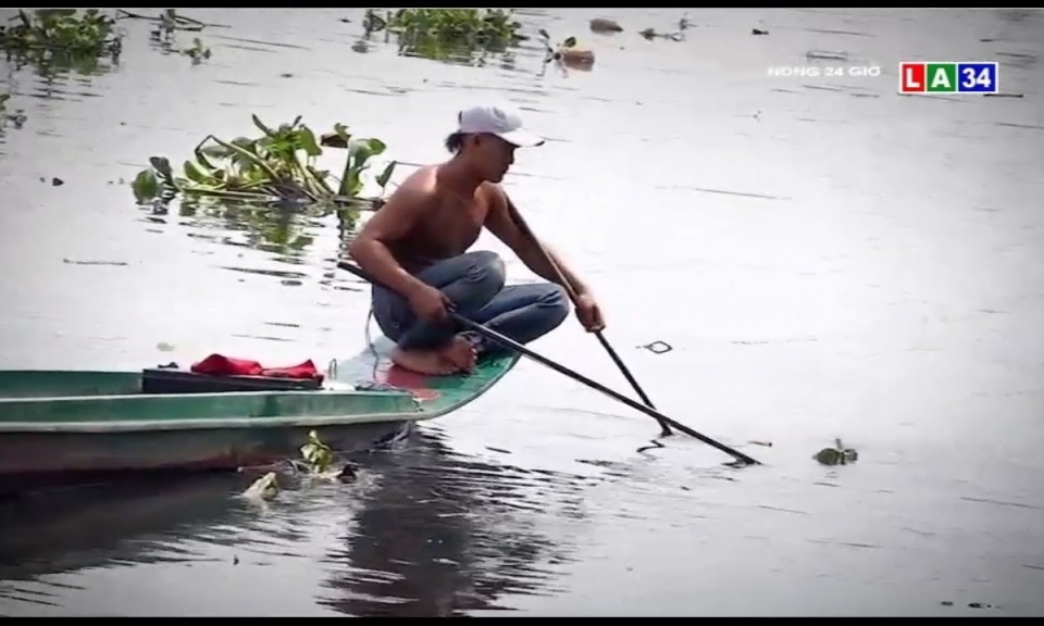 Bó tay với nạn chích điện, bắt cá phóng sinh?