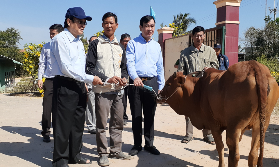 Nguyên Chủ tịch nước Trương Tấn Sang trao tặng bò giống tại Tân Hưng