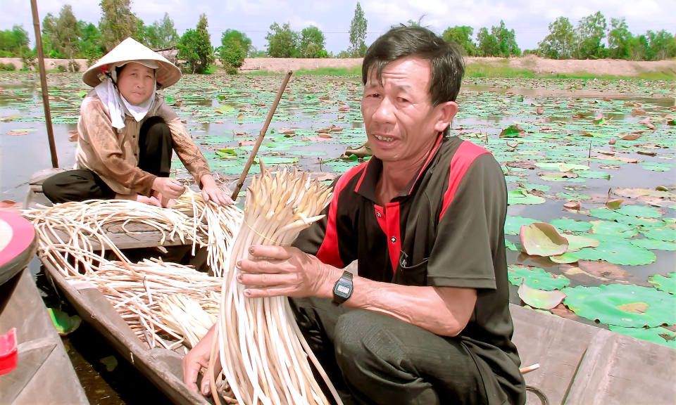 Tân Thạnh: Kỳ họp lần thứ 13, HĐND huyện khóa IX nhiệm kỳ 2016 &#8211; 2021