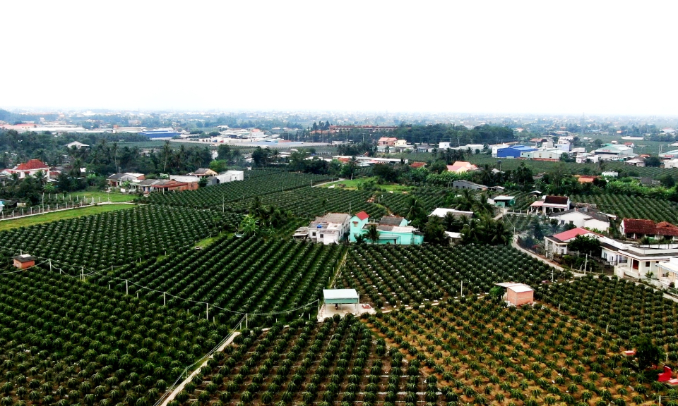 Châu Thành: Nhân dân đóng góp gần 30% tổng nguồn lực huy động để xây dựng nông thôn mới