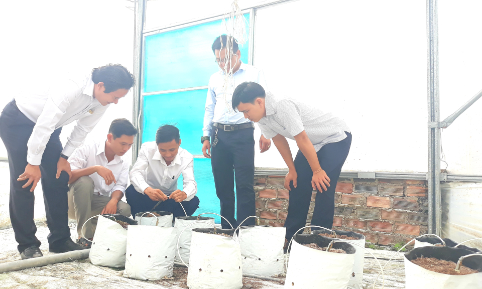 Nghiệm thu, bàn giao thiết bị hỗ trợ HTX nông nghiệp công nghệ cao Tâm Nông Việt