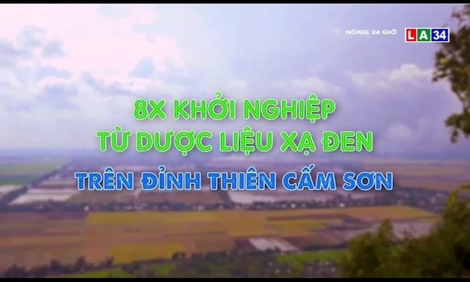 8X khởi nghiệp từ dược liệu xạ đen trên đỉnh Thiên Cấm Sơn