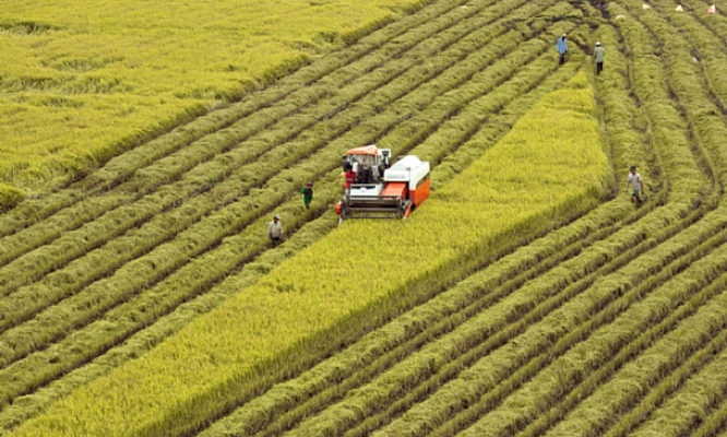 Liên kết vùng để ứng phó với biến đổi khí hậu ở Đồng bằng sông Cửu Long