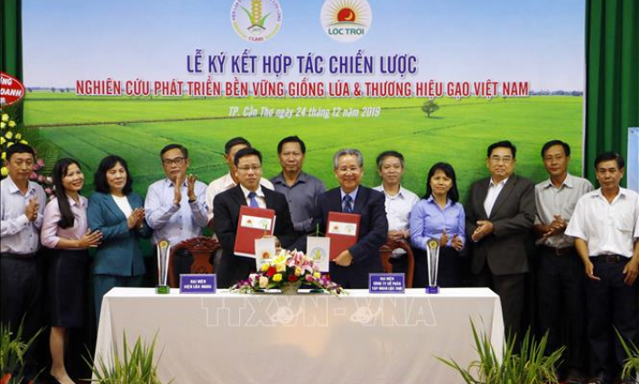 Doanh nghiệp và nhà khoa học &#8216;bắt tay&#8217; phát triển bền vững giống lúa