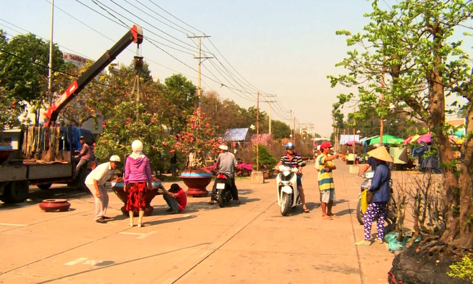 Hơn 400 gian hàng phục vụ chợ hoa xuân Tân An