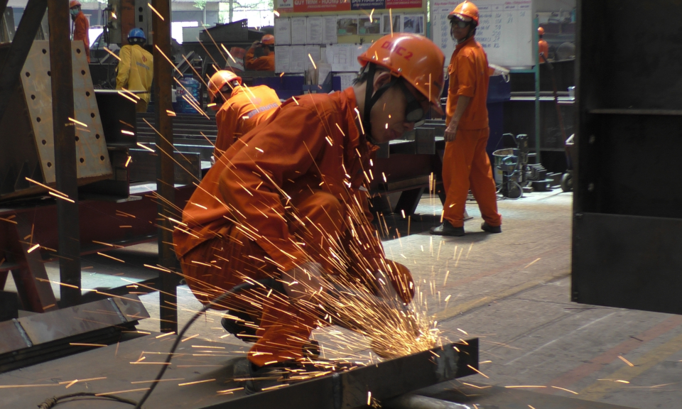 Thu nhập tiền lương bình quân năm 2019 đạt 7,3 triệu đồng/tháng