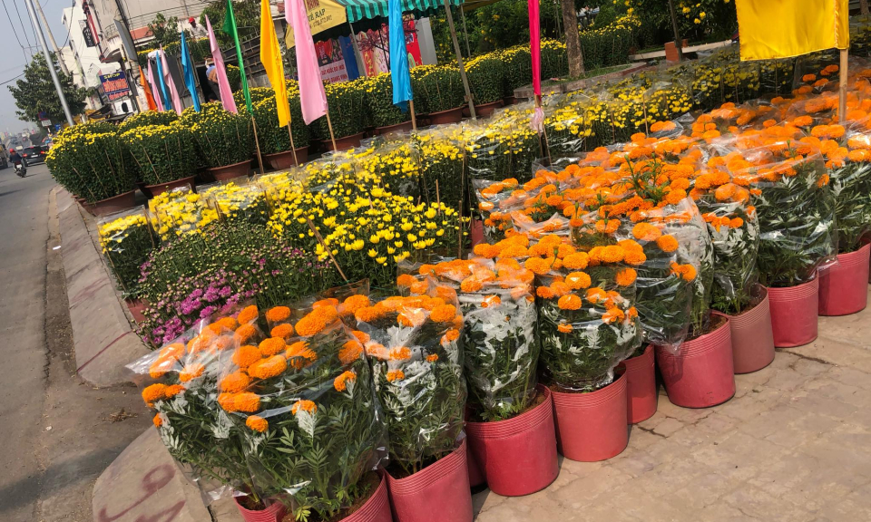 Nhộn nhịp Chợ hoa xuân Bến Lức