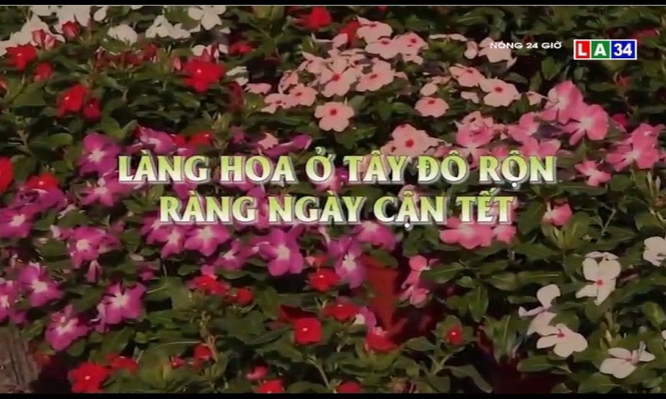 Làng hoa ở Tây Đô rộn ràng ngày cận Tết