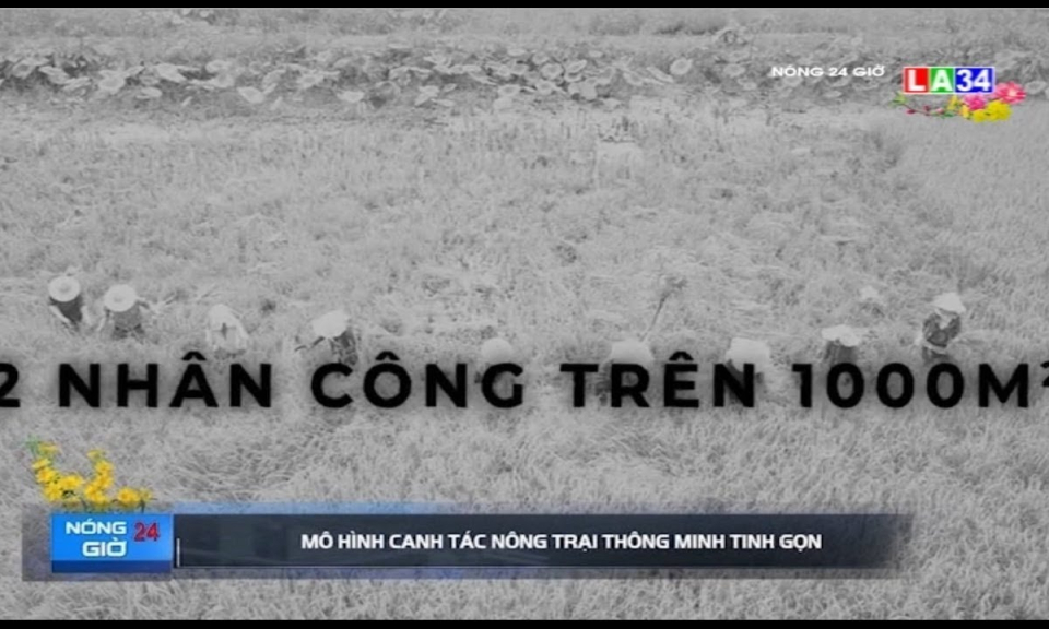 Mô hình canh tác nông trại thông minh tinh gọn