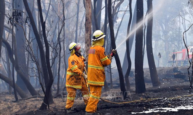 Tin vui cho cuộc chiến chống cháy rừng ở Australia