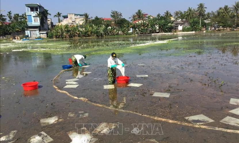 Ban hành Kế hoạch quốc gia ứng phó sự cố tràn dầu