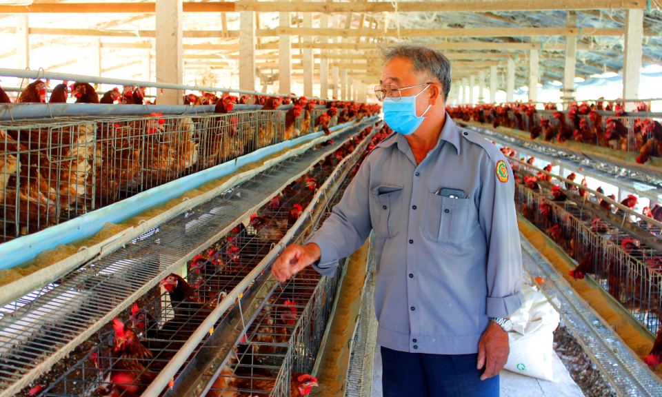 Cần Đước triển khai kế hoạch phòng chống dịch cúm gia cầm H5N1,H5N6