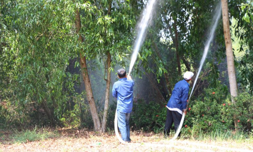 Long An: Kiểm tra công tác phòng cháy chữa cháy rừng mùa khô 2020