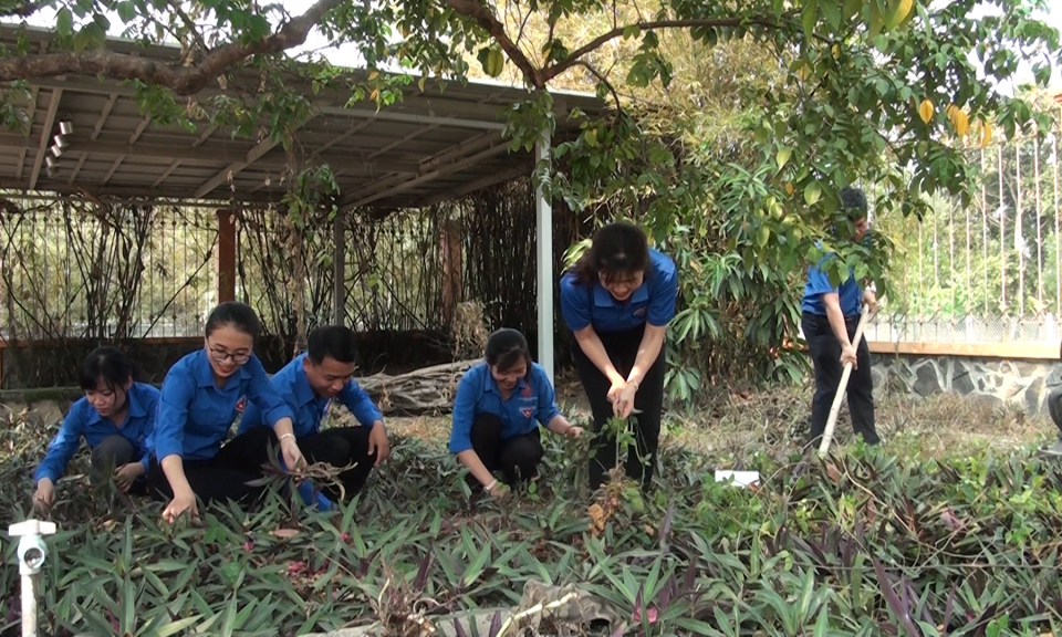 Đức Hòa: Trồng cây viếng nơi thành lập chi bộ Đảng đầu tiên
