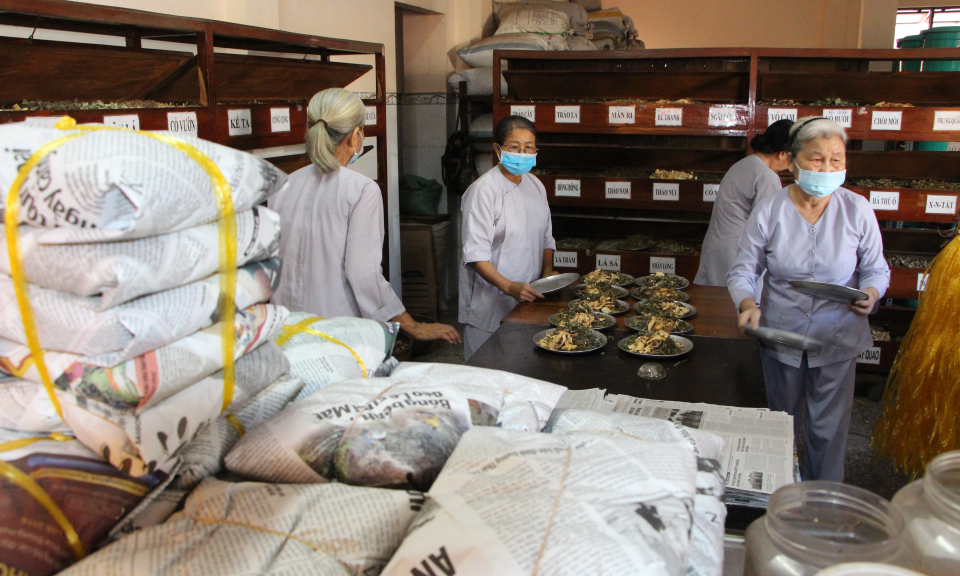 Bến Lức: Phơi thuốc nam trong nhà kính