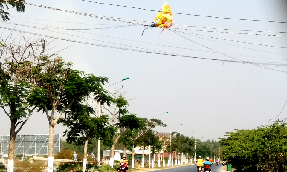 Cần Đước: Cần nghiêm cấm các hành vi gây mất an toàn lưới điện