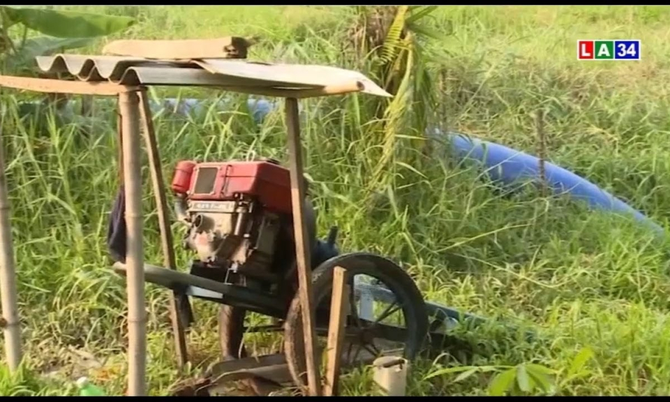 &#8220;Nóng ruột&#8221; cứu lúa, nông dân đành liều bơm nước mặn lên đồng