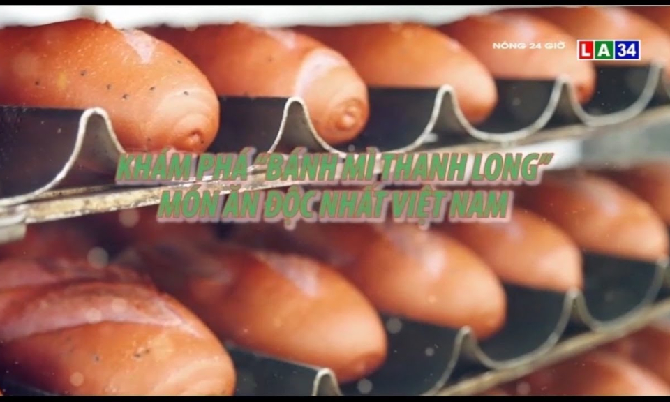 Khám phá bánh mì thanh long &#8211; Món ăn độc nhất Việt Nam