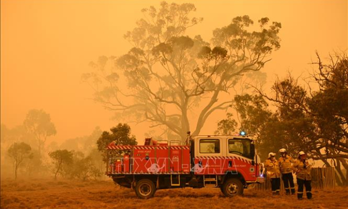 Australia mở cuộc điều tra toàn quốc về cháy rừng