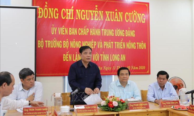 Thúc đẩy xuất khẩu, phối hợp xúc tiến tiêu thụ trong nước để gỡ khó cho nông sản