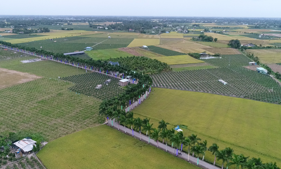 Tân Trụ: Quyết tâm đạt chuẩn huyện nông thôn mới trong năm 2020