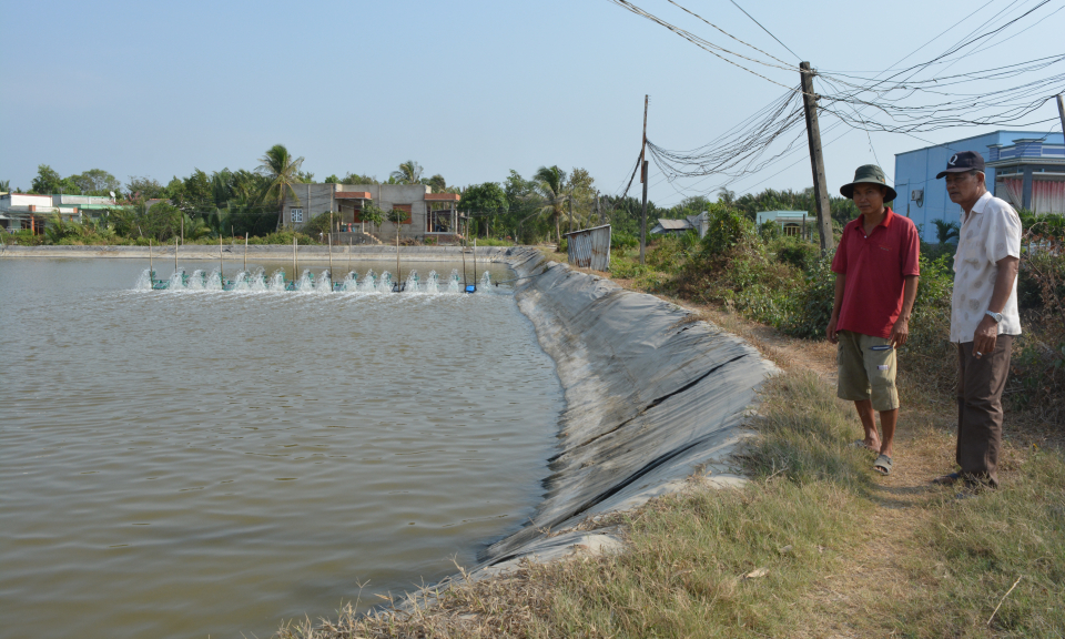 Cần Giuộc: Thả nuôi 670 ha tôm năm 2020
