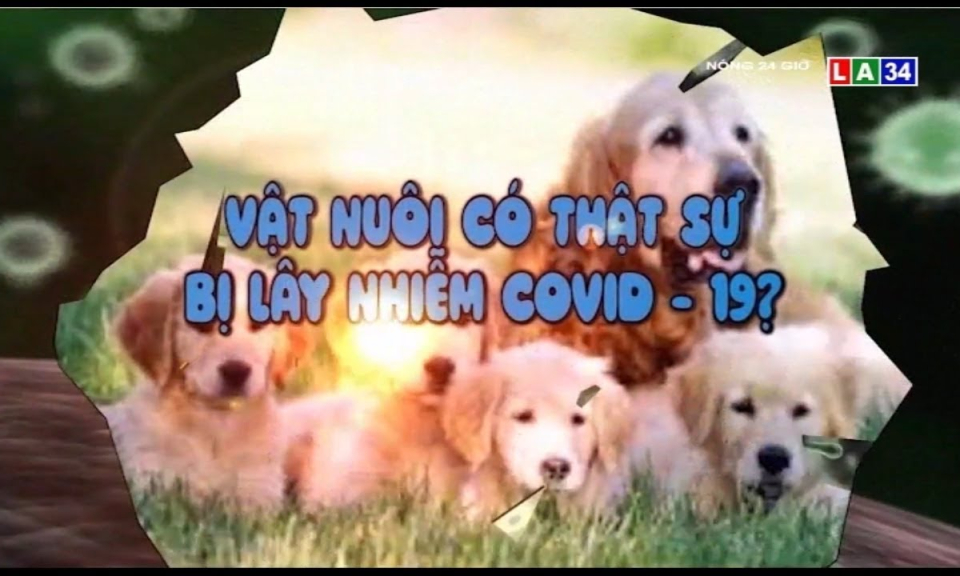 Vật nuôi có thật sự bị lây nhiễm Covid-19