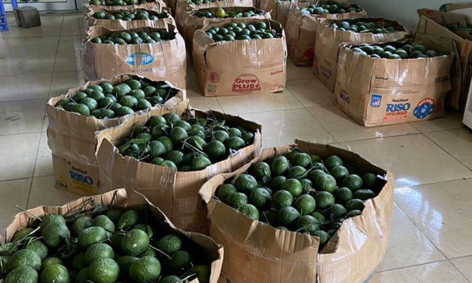 Bến Lức: Các khu, cụm công nghiệp làm tốt công tác phòng chống dịch Covid- 19
