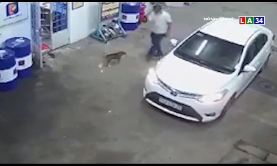 Camera nóng | Đi ô tô vào đổ xăng, tài xế trộm luôn con chó