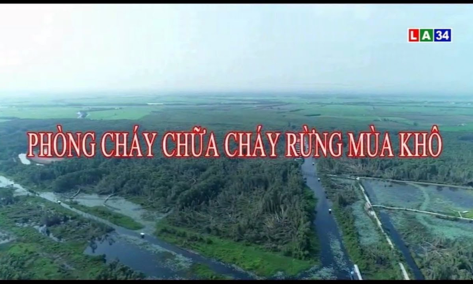 Phóng sự: Phòng cháy chữa cháy rừng mùa khô