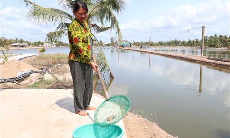 Thủy sản bị ảnh hưởng nặng bởi hạn, mặn