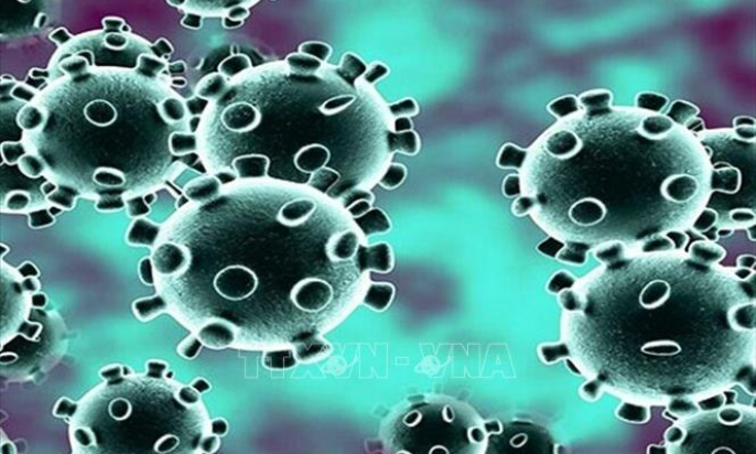 Nhật Bản tìm ra hướng chữa trị các triệu chứng viêm phổi nặng do virus SARS-CoV-2