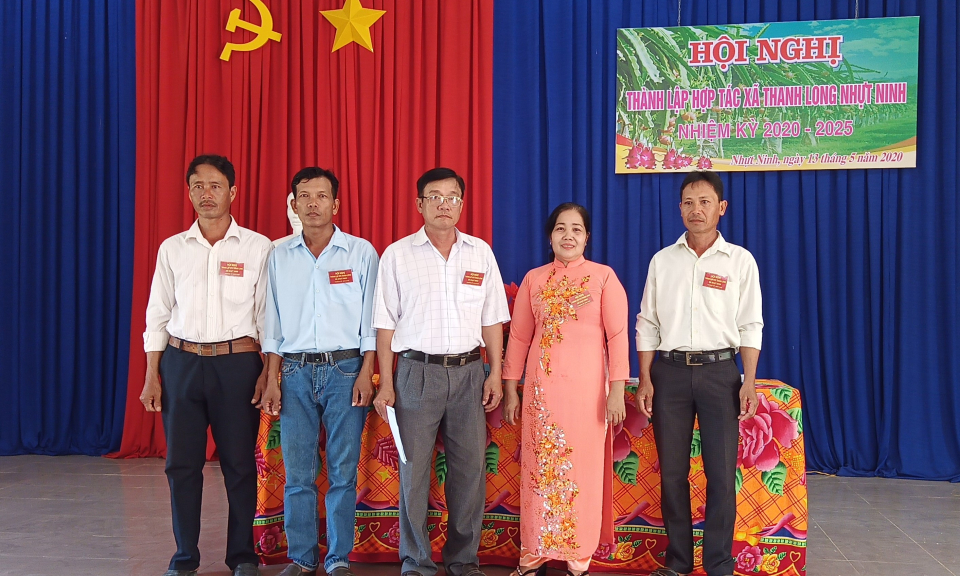 Tân Trụ: Nhựt Ninh thành lập HTX Thanh Long