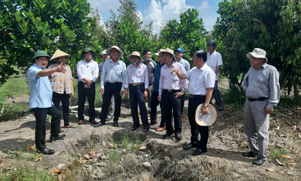 Thứ trưởng Bộ Nông Nghiệp và Phát triển nông thôn làm việc tại huyện Tân Thạnh