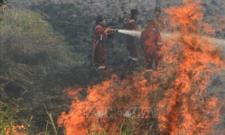 Cháy rừng làm phức tạp công tác dập dịch COVID-19 tại Indonesia