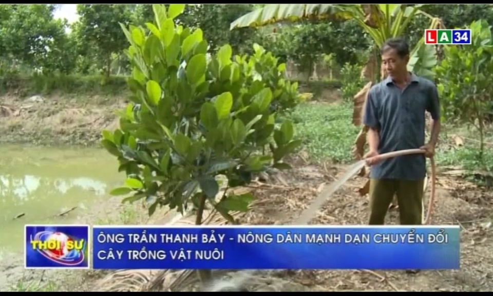 Ông Trần Thanh Bảy &#8211; Nông dân mạnh dạn chuyển đổi cây trồng vật nuôi