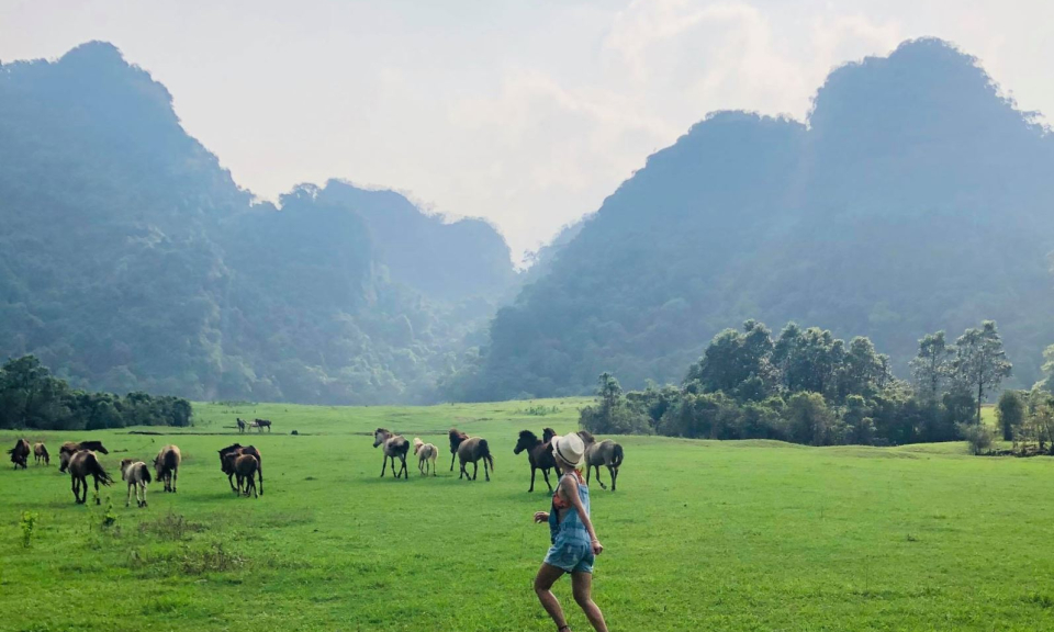 Tạo dựng sản phẩm đặc trưng thu hút khách du lịch nội địa