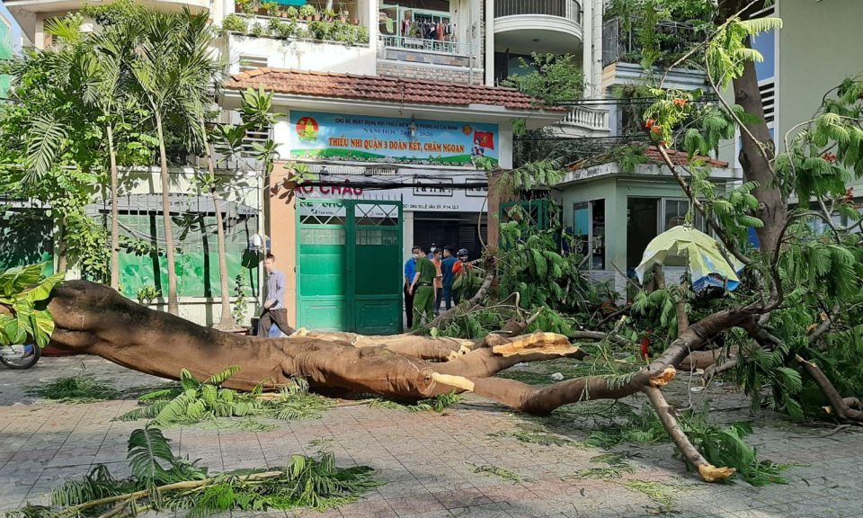 Bộ trưởng chia buồn với gia đình học sinh bị vụ tai nạn đổ cây tại trường THCS Bạch Đằng