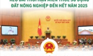 Kéo dài thời hạn miễn thuế sử dụng đất nông nghiệp đến hết năm 2025