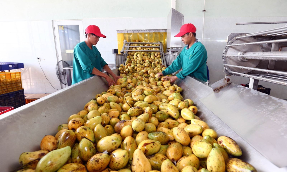 Năm 2030 nông nghiệp Việt Nam phấn đấu vào tốp 15 nước phát triển nhất thế giới