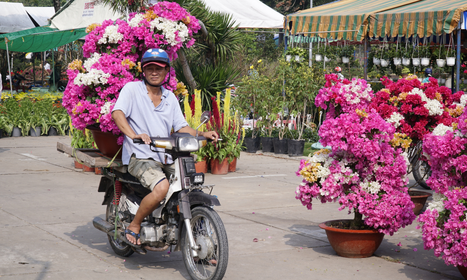 Công tác thống kê lao động tự do bị mất việc làm do dịch Covid 19 còn chậm
