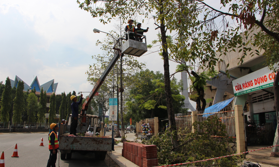 Cắt tỉa cây xanh trước mùa mưa bão 2020