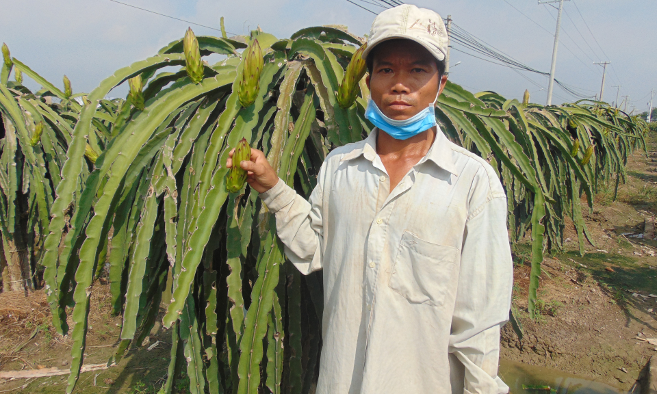 Năm 2020, huyện Châu Thành phấn đấu giảm 20% số hộ nghèo