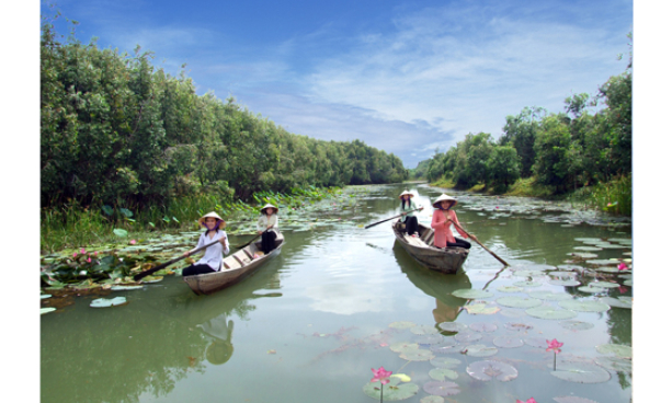 Tọa đàm khoa học phát triển chuỗi giá trị du lịch nông nghiệp ĐBSCL tại Long An