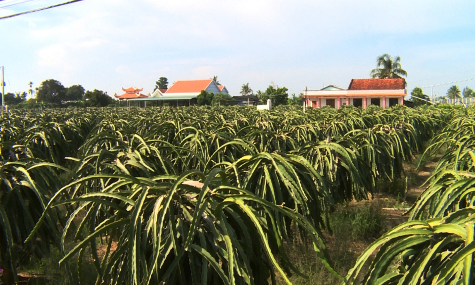 Tỉnh Long An có 88 xã đạt chuẩn nông thôn mới