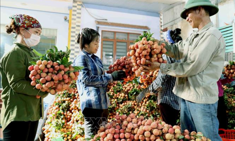 Kết nối sản phẩm tiêu dùng của Việt Nam sang thị trường Trung Quốc