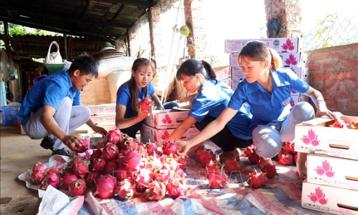 Doanh nghiệp nông sản tiếp cận Hiệp định EVFTA