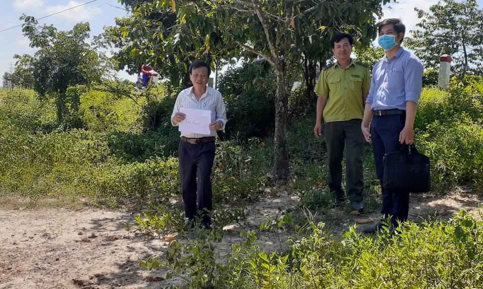 Chi cục kiểm lâm làm việc với huyện Tân Hưng về trồng rừng phòng hộ tuyến biên giới