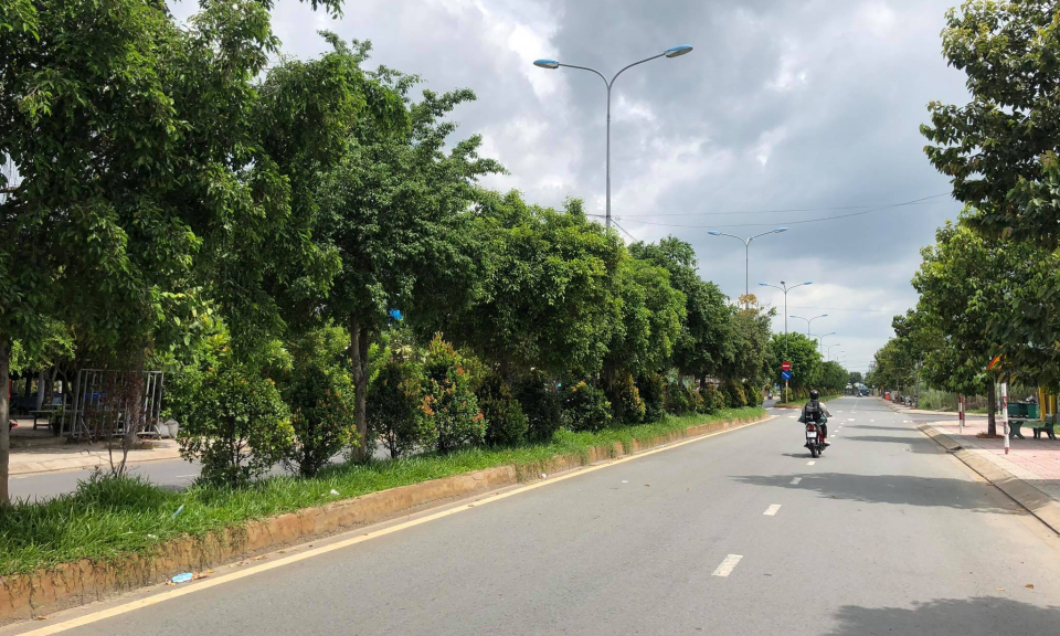 Bến Lức : Nỗ lực thực hiện mục tiêu tỷ lệ cây xanh khu vực đô thị