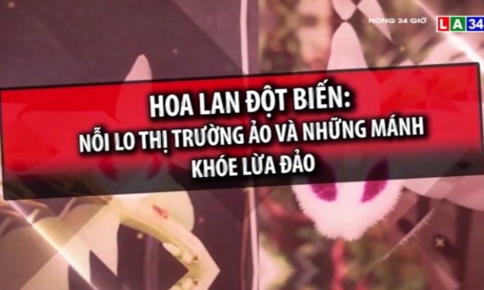 Hoa lan đột biến &#8211; Nỗi lo thị trường ảo và những mánh khóe lừa đảo